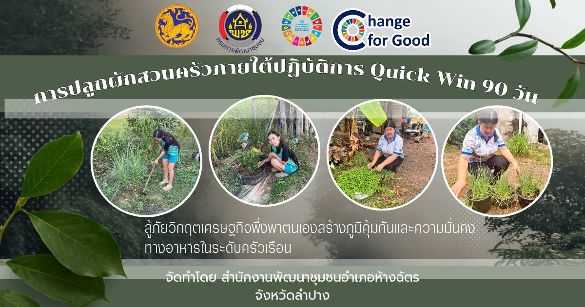 🚶‍♂️ลำปาง สปิริต "ทีม พลัง และการก้าวเดิน"🚶‍♀️ 📢 สำนักงานพัฒนาชุมชนอำเภอห้างฉัตร จังหวัดลำปาง :  ส่งเสริมการปลูกผักสวนครัว ภายใต้ปฏิบัติการ Quick Win 90 วัน สู้ภัยวิกฤตเศรษฐกิจ 