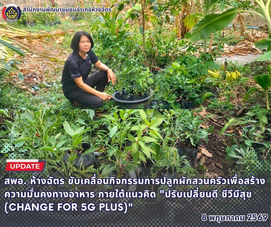 🚶‍♂️ลำปาง สปิริต "ทีม พลัง และการก้าวเดิน"🚶‍♀️ 📢 สำนักงานพัฒนาชุมชนอำเภอห้างฉัตร จังหวัดลำปาง :  กิจกรรมการปลูกผักสวนครัวเพื่อสร้างความมั่นคงทางอาหาร ภายใต้แนวคิด "ปรับเปลี่ยนดี ชีวีมีสุข (Change for 5G Plus)"